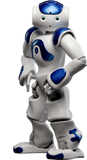 NAO Evolution - V5
