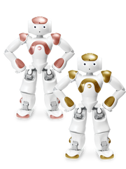 NAO Power V6 AI Edition