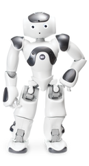 NAO Power V6