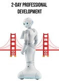 PEPPER Robot Professional Development