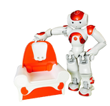 NAO Evolution + Docking Station Pack