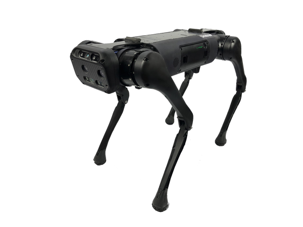 AXEL Quadruped Robot