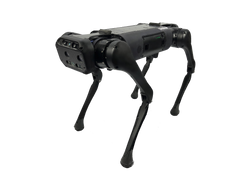 AXEL Quadruped Robot