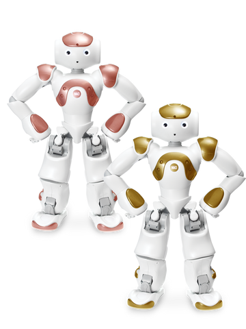 NAO Power V6 AI Edition