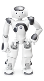 NAO Power V6