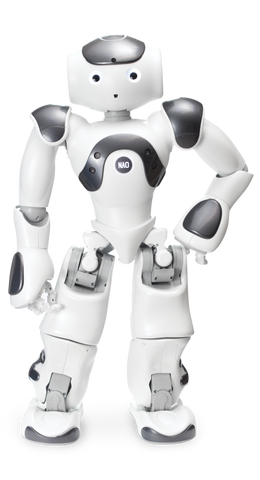 NAO Power V6