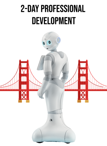 PEPPER Robot Professional Development