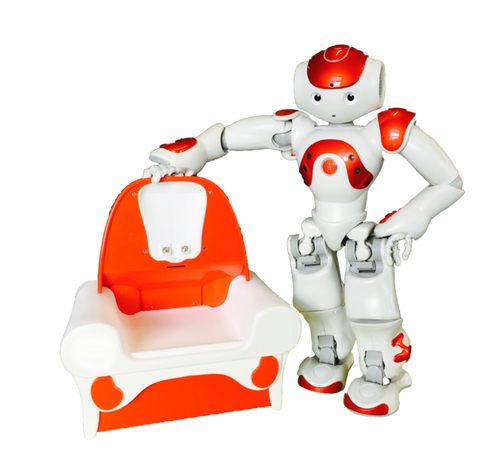 NAO Evolution + Docking Station Pack