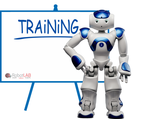 NAO Training / Professional Development