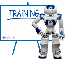 NAO Training / Professional Development