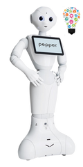 Pepper Robot for Research